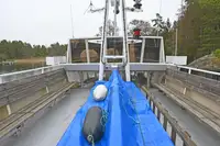 85 Pax vessel, Jungfrun.