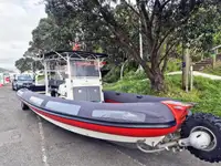 SEALEGS AMPHIBIOUS RIB. MNZ SURVEYED 12 PERSONS - NEGOTIABLE