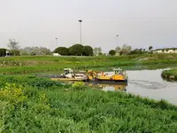 2016 Multicat For Sale