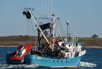 101 FT HERRING PURSE SEINER