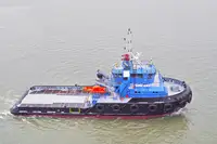 Damen stan tug AHTS 5000 HP/75 TBP/2012 BLT for sale