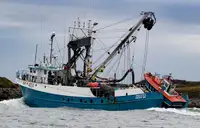 101 FT HERRING PURSE SEINER